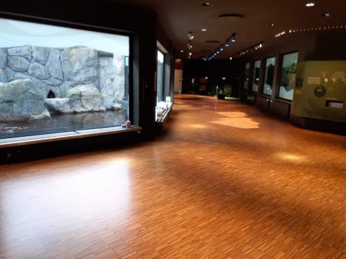 Prima Parkett Düsseldorf