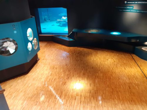 Prima Parkett Düsseldorf