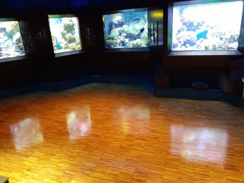 Prima Parkett Düsseldorf