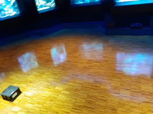 Prima Parkett Düsseldorf